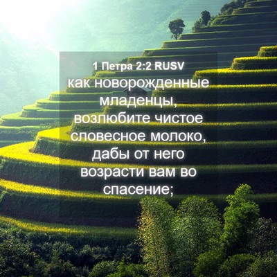Picture 04 - 1 Петра 2:2 RUSV - как новорожденные - Bible Verse Picture
