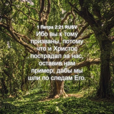 Picture 04 - 1 Петра 2:21 RUSV - Ибо вы к тому призваны, - Bible Verse Picture