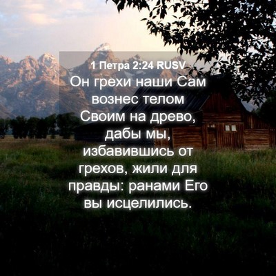 Picture 04 - 1 Петра 2:24 RUSV - Он грехи наши Сам вознес - Bible Verse Picture