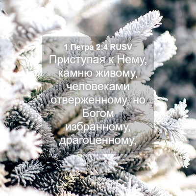 Picture 04 - 1 Петра 2:4 RUSV - Приступая к Нему, камню - Bible Verse Picture
