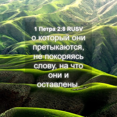 Picture 04 - 1 Петра 2:8 RUSV - о который они претыкаются, - Bible Verse Picture