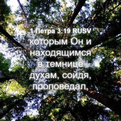 Picture 04 - 1 Петра 3:19 RUSV - которым Он и находящимся в - Bible Verse Picture