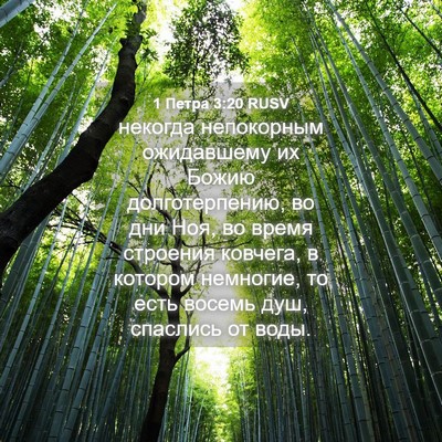 Picture 04 - 1 Петра 3:20 RUSV - некогда непокорным - Bible Verse Picture