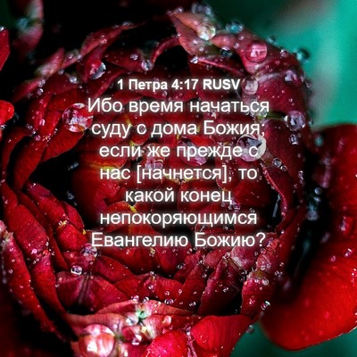 Picture 04 - 1 Петра 4:17 RUSV - Ибо время начаться суду с - Bible Verse Picture