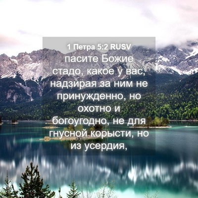 Picture 04 - 1 Петра 5:2 RUSV - пасите Божие стадо, какое у - Bible Verse Picture