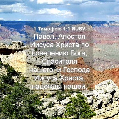 Picture 04 - 1 Тимофею 1:1 RUSV - Павел, Апостол Иисуса - Bible Verse Picture