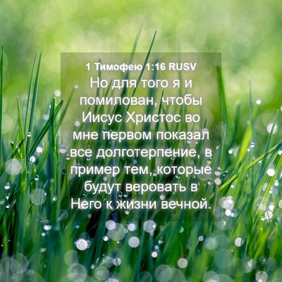 Picture 04 - 1 Тимофею 1:16 RUSV - Но для того я и помилован, - Bible Verse Picture
