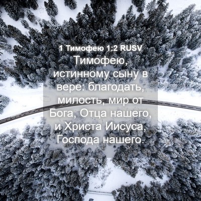 Picture 04 - 1 Тимофею 1:2 RUSV - Тимофею, истинному сыну в - Bible Verse Picture