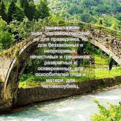 Picture 04 - 1 Тимофею 1:9 RUSV - зная, что закон положен не - Bible Verse Picture