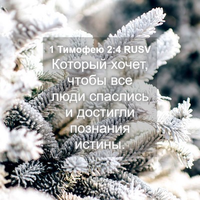 Picture 04 - 1 Тимофею 2:4 RUSV - Который хочет, чтобы все - Bible Verse Picture