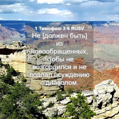 Picture 04 - 1 Тимофею 3:6 RUSV - Не [должен быть] из - Bible Verse Picture