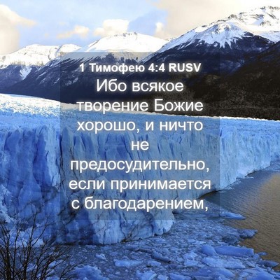 Picture 04 - 1 Тимофею 4:4 RUSV - Ибо всякое творение Божие - Bible Verse Picture