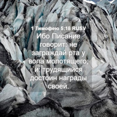 Picture 04 - 1 Тимофею 5:18 RUSV - Ибо Писание говорит: не - Bible Verse Picture