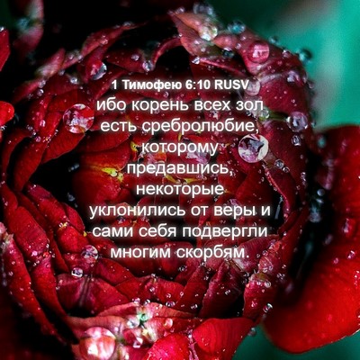 Picture 04 - 1 Тимофею 6:10 RUSV - ибо корень всех зол есть - Bible Verse Picture
