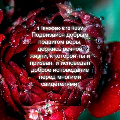 Picture 04 - 1 Тимофею 6:12 RUSV - Подвизайся добрым - Bible Verse Picture