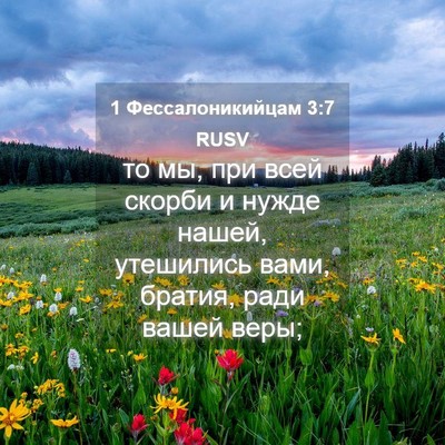 Picture 04 - 1 Фессалоникийцам 3:7 RUSV - то мы, при всей скорби и - Bible Verse Picture