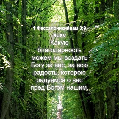 Picture 04 - 1 Фессалоникийцам 3:9 RUSV - Какую благодарность можем - Bible Verse Picture