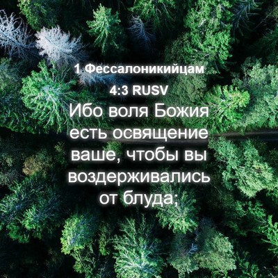 Picture 04 - 1 Фессалоникийцам 4:3 RUSV - Ибо воля Божия есть - Bible Verse Picture