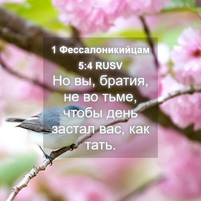 Picture 04 - 1 Фессалоникийцам 5:4 RUSV - Но вы, братия, не во тьме, - Bible Verse Picture