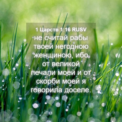 Picture 04 - 1 Царств 1:16 RUSV - не считай рабы твоей - Bible Verse Picture