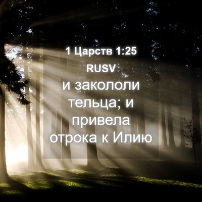 Picture 04 - 1 Царств 1:25 RUSV - и закололи тельца; и - Bible Verse Picture