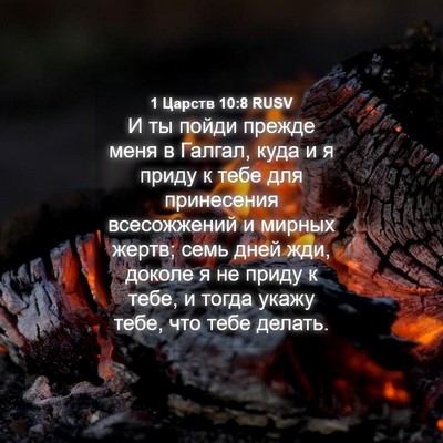 Picture 04 - 1 Царств 10:8 RUSV - И ты пойди прежде меня в - Bible Verse Picture