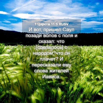 Picture 04 - 1 Царств 11:5 RUSV - И вот, пришел Саул позади - Bible Verse Picture