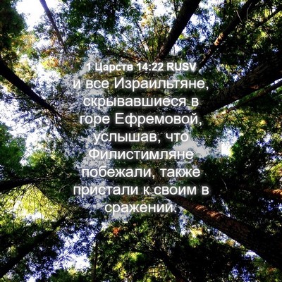 Picture 04 - 1 Царств 14:22 RUSV - и все Израильтяне, - Bible Verse Picture
