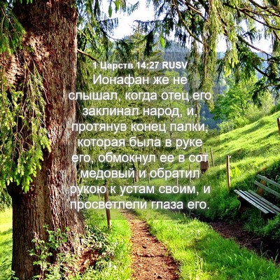 Picture 04 - 1 Царств 14:27 RUSV - Ионафан же не слышал, когда - Bible Verse Picture