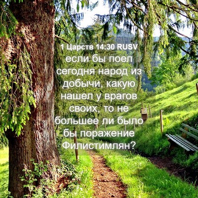Picture 04 - 1 Царств 14:30 RUSV - если бы поел сегодня народ - Bible Verse Picture