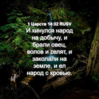 Picture 04 - 1 Царств 14:32 RUSV - И кинулся народ на добычу, - Bible Verse Picture