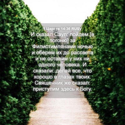 Picture 04 - 1 Царств 14:36 RUSV - И сказал Саул: пойдем [в - Bible Verse Picture