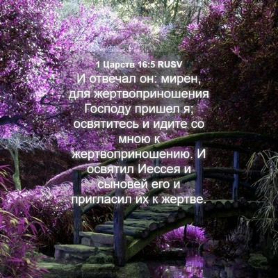 Picture 04 - 1 Царств 16:5 RUSV - И отвечал он: мирен, для - Bible Verse Picture