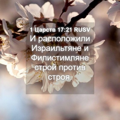 Picture 04 - 1 Царств 17:21 RUSV - И расположили Израильтяне - Bible Verse Picture