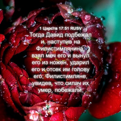 Picture 04 - 1 Царств 17:51 RUSV - Тогда Давид подбежал и, - Bible Verse Picture