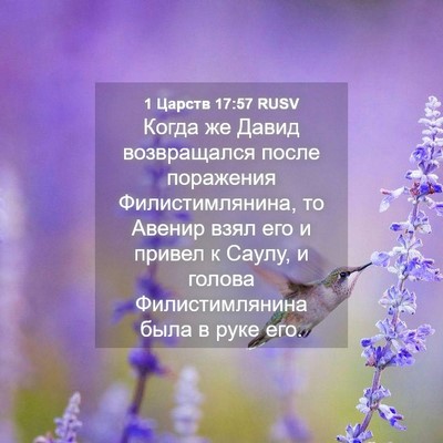 Picture 04 - 1 Царств 17:57 RUSV - Когда же Давид возвращался - Bible Verse Picture