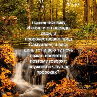 Picture 04 - 1 Царств 19:24 RUSV - И снял и он одежды свои, и - Bible Verse Picture