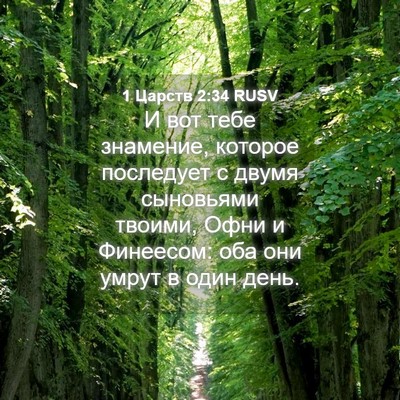 Picture 04 - 1 Царств 2:34 RUSV - И вот тебе знамение, - Bible Verse Picture