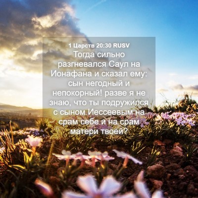 Picture 04 - 1 Царств 20:30 RUSV - Тогда сильно разгневался - Bible Verse Picture