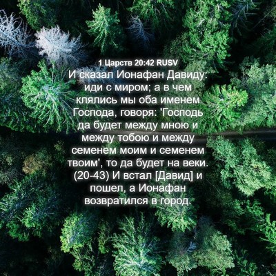 Picture 04 - 1 Царств 20:42 RUSV - И сказал Ионафан Давиду: - Bible Verse Picture