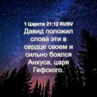 Picture 04 - 1 Царств 21:12 RUSV - Давид положил слова эти в - Bible Verse Picture
