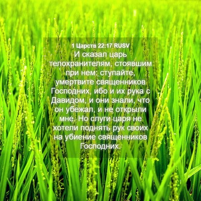 Picture 04 - 1 Царств 22:17 RUSV - И сказал царь - Bible Verse Picture