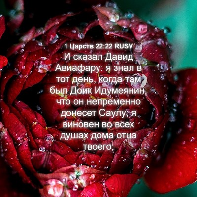 Picture 04 - 1 Царств 22:22 RUSV - И сказал Давид Авиафару: я - Bible Verse Picture
