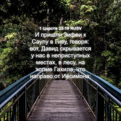 Picture 04 - 1 Царств 23:19 RUSV - И пришли Зифеи к Саулу в - Bible Verse Picture