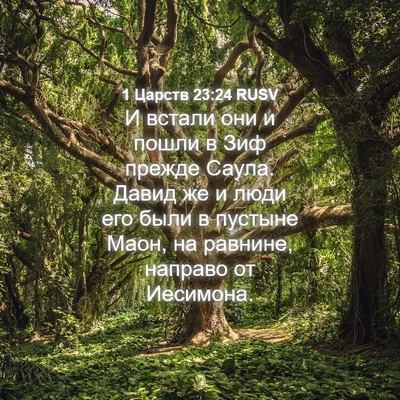 Picture 04 - 1 Царств 23:24 RUSV - И встали они и пошли в Зиф - Bible Verse Picture