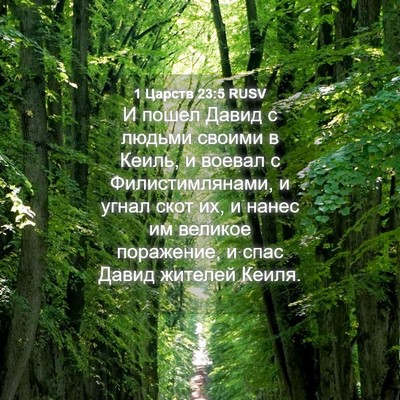 Picture 04 - 1 Царств 23:5 RUSV - И пошел Давид с людьми - Bible Verse Picture