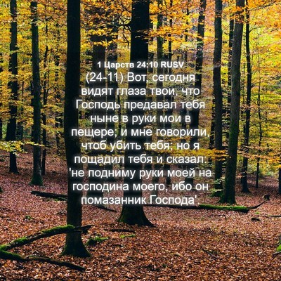 Picture 04 - 1 Царств 24:10 RUSV - (24-11) Вот, сегодня видят - Bible Verse Picture