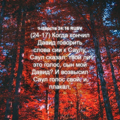 Picture 04 - 1 Царств 24:16 RUSV - (24-17) Когда кончил Давид - Bible Verse Picture