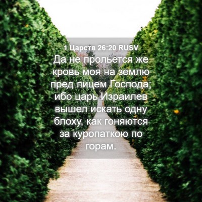 Picture 04 - 1 Царств 26:20 RUSV - Да не прольется же кровь - Bible Verse Picture