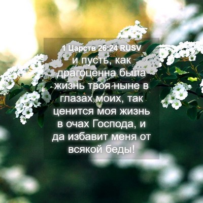 Picture 04 - 1 Царств 26:24 RUSV - и пусть, как драгоценна - Bible Verse Picture